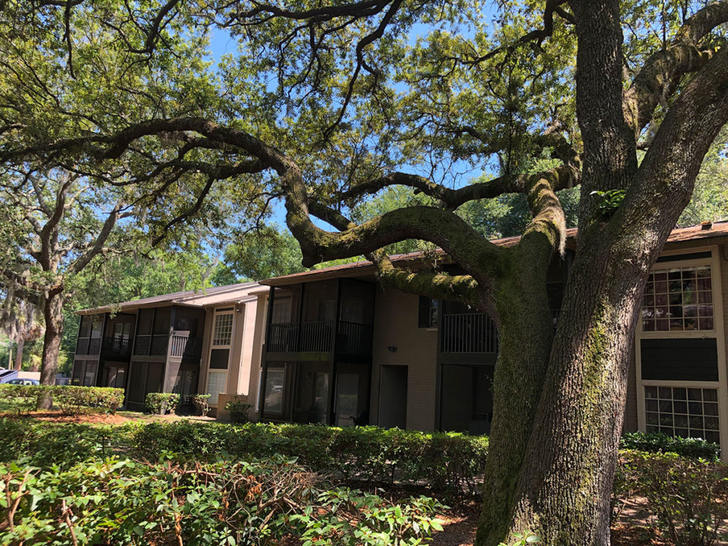 Chelsea-Courtyard-3-1024×768